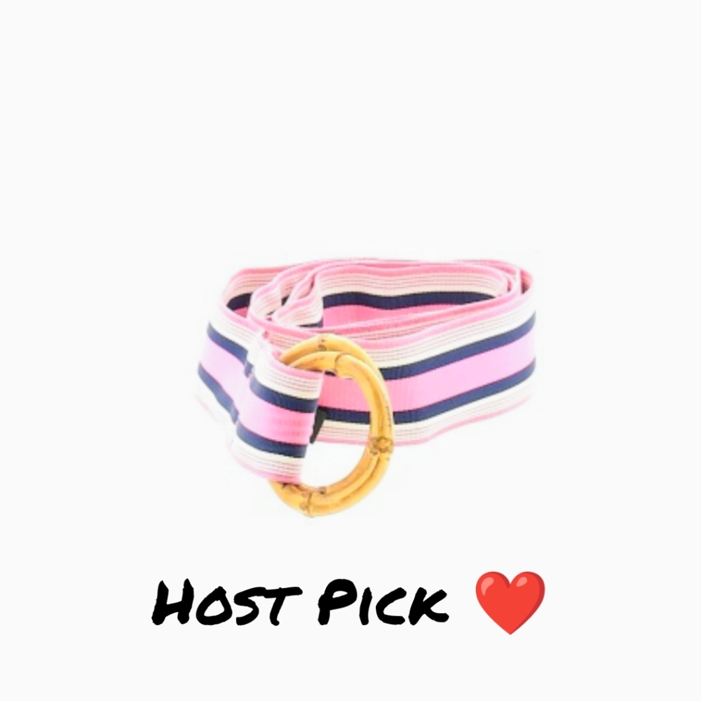 ⚡HP⚡ J. Crew S/M pink Stripped Ribbon Belt